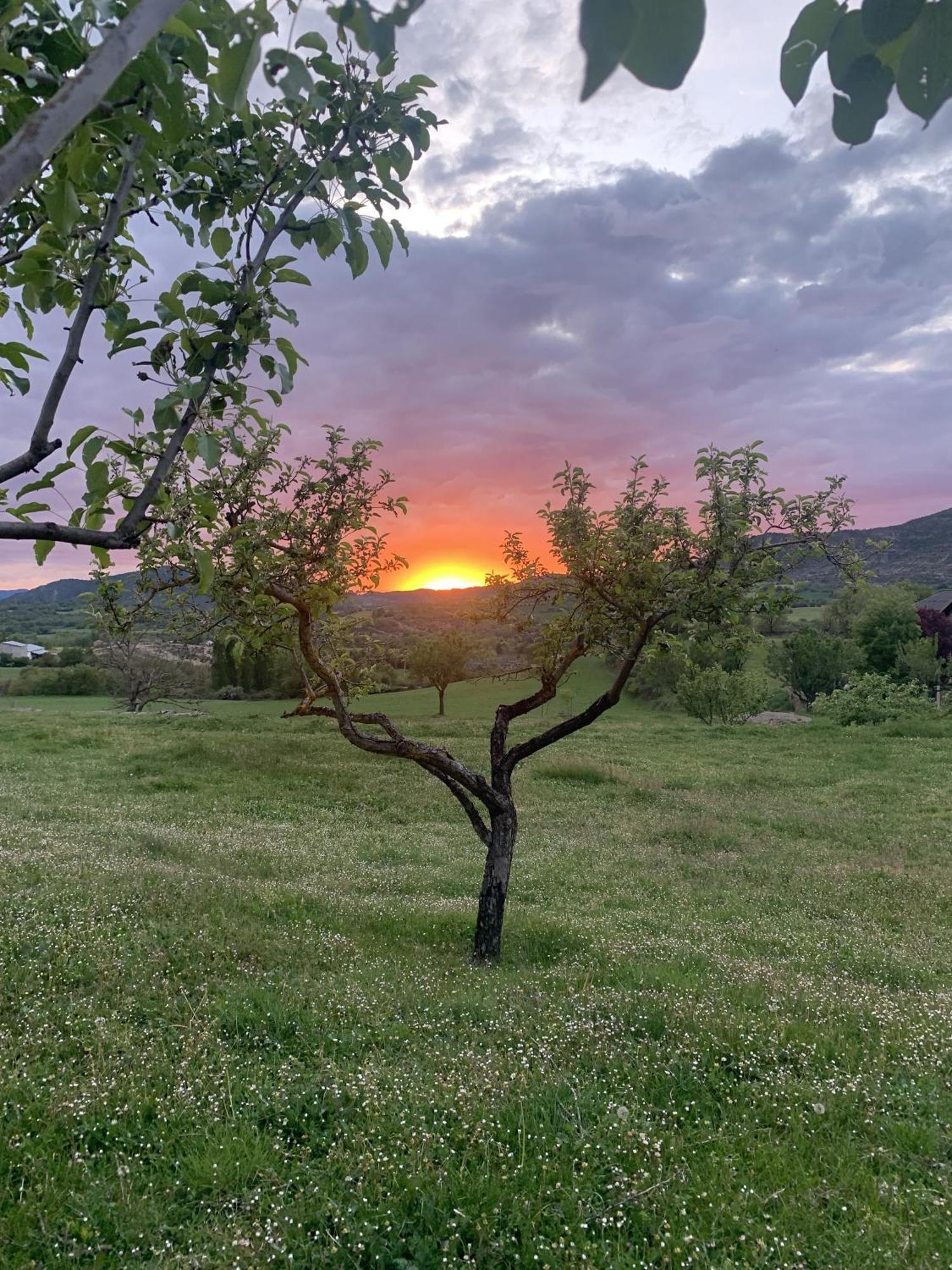 Regalate Paz Βίλα Estallo Εξωτερικό φωτογραφία